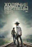 Vaikštantys numirėliai. 4 sezonas DVD