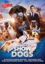 Slaptasis agentas Maksas DVD
