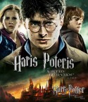 Haris Poteris ir mirties relikvijos 2 d. Blu-ray